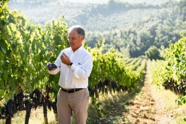 Dal 2015 al 2020: l’evoluzione del Chianti Classico DOCG Gran Selezione di Villa Rosa