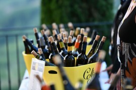 CONSORZIO COLLIO, svelato il nome e la data del primo evento della Denominazione: COLLIO EVOLUTION avrà la sua prima edizione il 26 e 27 ottobre e sarà dedicato al Friulano