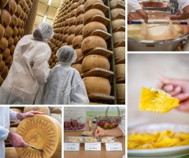 Dare forma a un viaggio del gusto: alla scoperta del territorio parmense attraverso una delle sue eccellenze. Il Parmigiano Reggiano