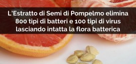 Il pompelmo d’inverno: indicazioni di utilizzo