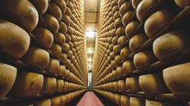 Il Consorzio del Parmigano Reggiano protagonista a MARCA by Bologna Fiere. Annunciati i dati positivi del SELL-OUT ITALIA 2024