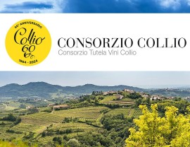 Collio Day 2024, il 24 ottobre torna il secondo appuntamento, con 13 delegazioni AIS coinvolte