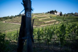  Tenuta Casenuove celebra 10 anni di eccellenza: una storia di passione, tradizione e innovazione nel cuore del Chianti Classico