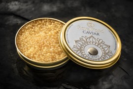 Il pregiato caviale italiano Albino di Royal Food Caviar: raro e unico 