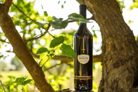 Plentis miglior vino bianco dell’Umbria