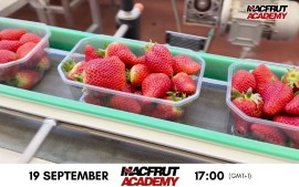 Macfrut Academy, nuova videolezione