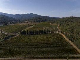 L’ALTRA TOSCANA: Il 20 febbraio in scena a Firenze la quarta edIzione