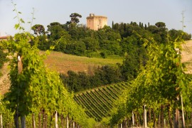 Il Consorzio Vini di Romagna debutta a Wine Paris 2025 con 12 aziende associate 