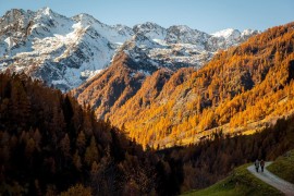 Segreti d'autunno: la stagione delle foglie dorate, ai piedi del Monte Rosa