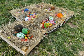 A caccia di uova in fattoria sociale PAIDEIA