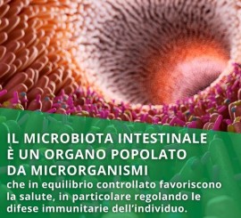 FLORA BATTERICA: un microcosmo che mantiene il nostro corpo in equilibrio