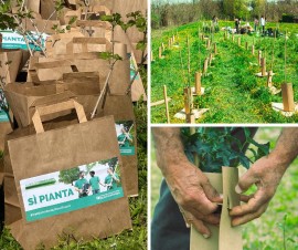 KilometroVerdeParma pianta il futuro: alberi, innovazione e benefici per la comunità