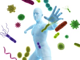 Il futuro degli antibiotici è nelle sostanze naturali