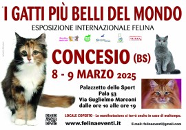 I GATTI PIU' BELLI DEL MONDO arrivano a CONCESIO (Brescia)