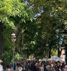 Pavia, tornano in Allea Viale Matteotti le occasioni vintage del Mercatino del Ri-Uso