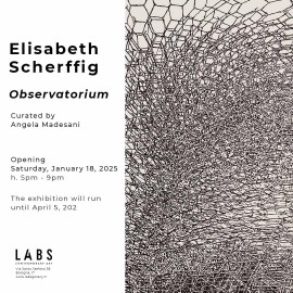 Elisabeth Scherffig. Observatorium