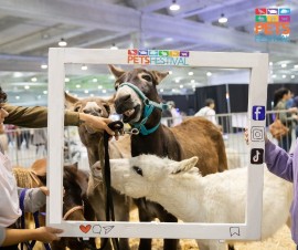 PETSFESTIVAL 2024 un evento imperdibile per gli amanti degli animali