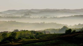 VINO, Il Consorzio Asti DOCG lancia la sua prima APP per Smartphone