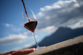 I Vini d'Abruzzo alla volta di Parigi. Dal 10 al 12 febbraio, 28 cantine abruzzesi saranno protagoniste al Wine Paris