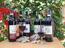 Sulle colline di Prato nascono i vini di Carmignano DOCG