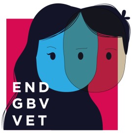 In conclusione le attività del progetto END GBV in VET