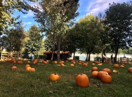 Profumi d’autunno: al Villaggio delle Zucche un fine settimana che celebra colori e sapori di stagione