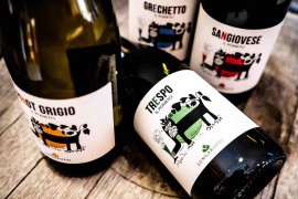 Il Pometo di Lungarotti: quattro vini freschi  divertenti da condividere d'estate