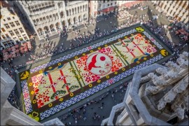 Bruxelles, Tapis de Fleurs 2024: dalie e Art Nouveau al centro della nuova edizione