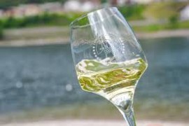 Pinot Grigio DOC Delle Venezie: Imbottigliamenti e giacenza confermano stabilità della DOC