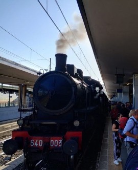 20 ottobre 2024: ultima domenica per la Fiera Nazionale del Tartufo Bianco pregiato di Pergola  