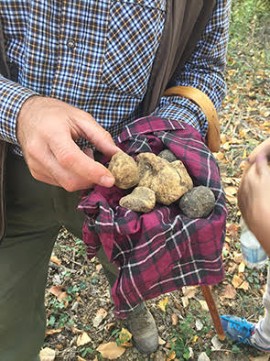 Qui l’inverno profuma di tartufo