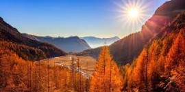 Foliage in Valtellina: gli spot più belli per ammirare l’arrivo dell’autunno