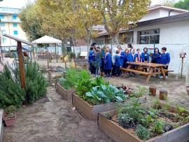 220 piccoli alunni a scuola nel verde: apre a Viareggio l’Aula Natura di WWF e P&G Italia