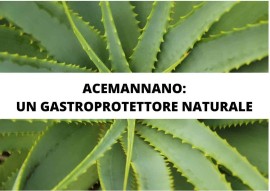 ALOE per il benessere dell’apparato digestivo