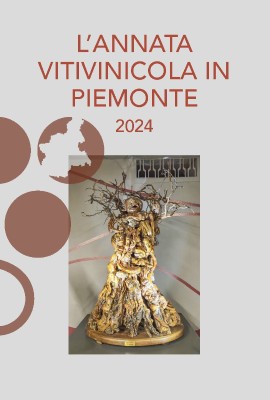 Presentata L’Annata Vitivinicola in Piemonte 2024. Stimato un +5% sulla produzione vino, bene i rossi Dop all’estero