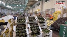 Macfrut Academy, nuova videolezione