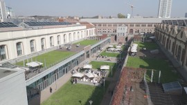 A Torino nasce “Campus Grapes”: la vigna urbana all’interno di un polo universitario targata Politecnico di Torino e Citiculture