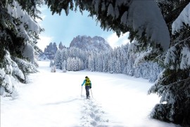 Vivere le Dolomiti in armonia con la natura: avventure sulla neve a passo lento con le escursioni dell’hotel 5* Cyprianerhof