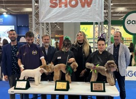 Grande soddisfazione per l'11a edizione di PETSFESTIVAL. L'evento all-pets più grande d'Italia