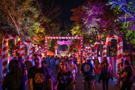 Vivi la magia delle feste a Greater Miami e Miami Beach