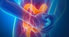 Malattia di Crohn: altissima prevalenza in Sicilia. Si stimano 12.000-14.000 pazienti, in costante aumento in tutte le fasce d’età. Incidenza maggiore tra i 16 e i 35 anni, con un secondo picco dopo i 60