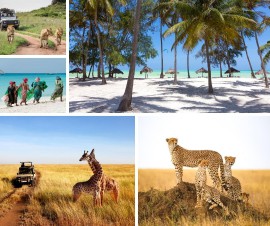 Alla scoperta della meravigliosa Tanzania sul nuovo portale web di Evolution Travel