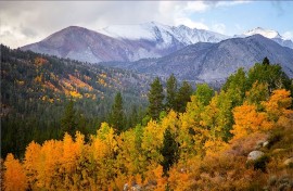 Vivere la magia dell’autunno a Mammoth Lakes