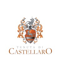 Tenuta di Castellaro, Cantina di design