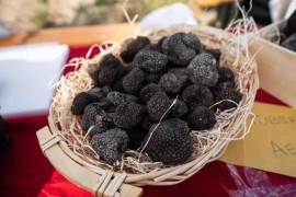 Le Terre del Tartufo per scoprire la Marca di Camerino