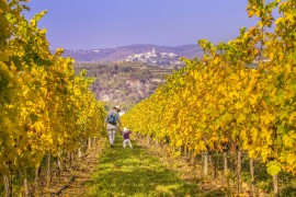 Scintille d'Autunno a Verona e Garda Veronese