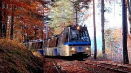 Colori d'autunno in treno: 5 mete imperdibili per un viaggio sostenibile alla scoperta del foliage con Trainline