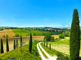 Nuovo portale per la promozione nelle Marche