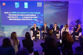 FINDUS: nel 2025 il 100% dei prodotti ittici è certificato MSC (Marine Stewardship Council) e ASC (Aquaculture Stewardship Council)