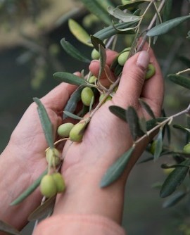 Un’etichetta di Olio extra vergine che guarda al contributo femminile d’impresa: al via il contest EVOilàbel